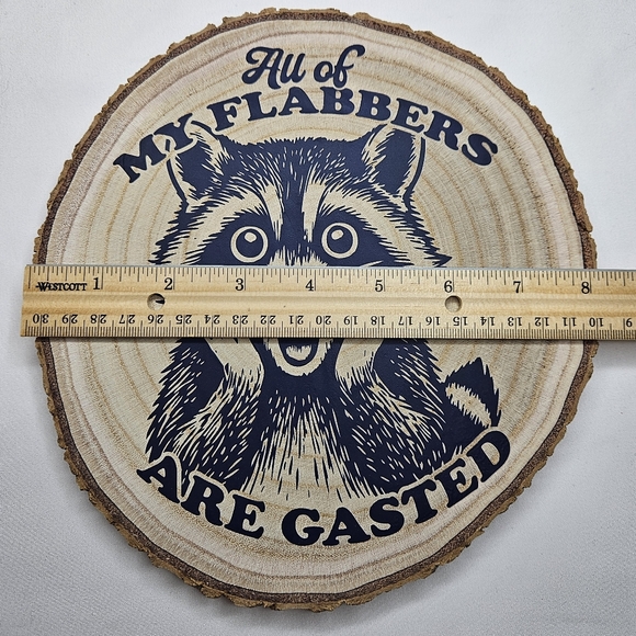 "All Of My Flabbers Are Gasted" Raccoon Wood Slice - Handmade - Picture 4 of 6